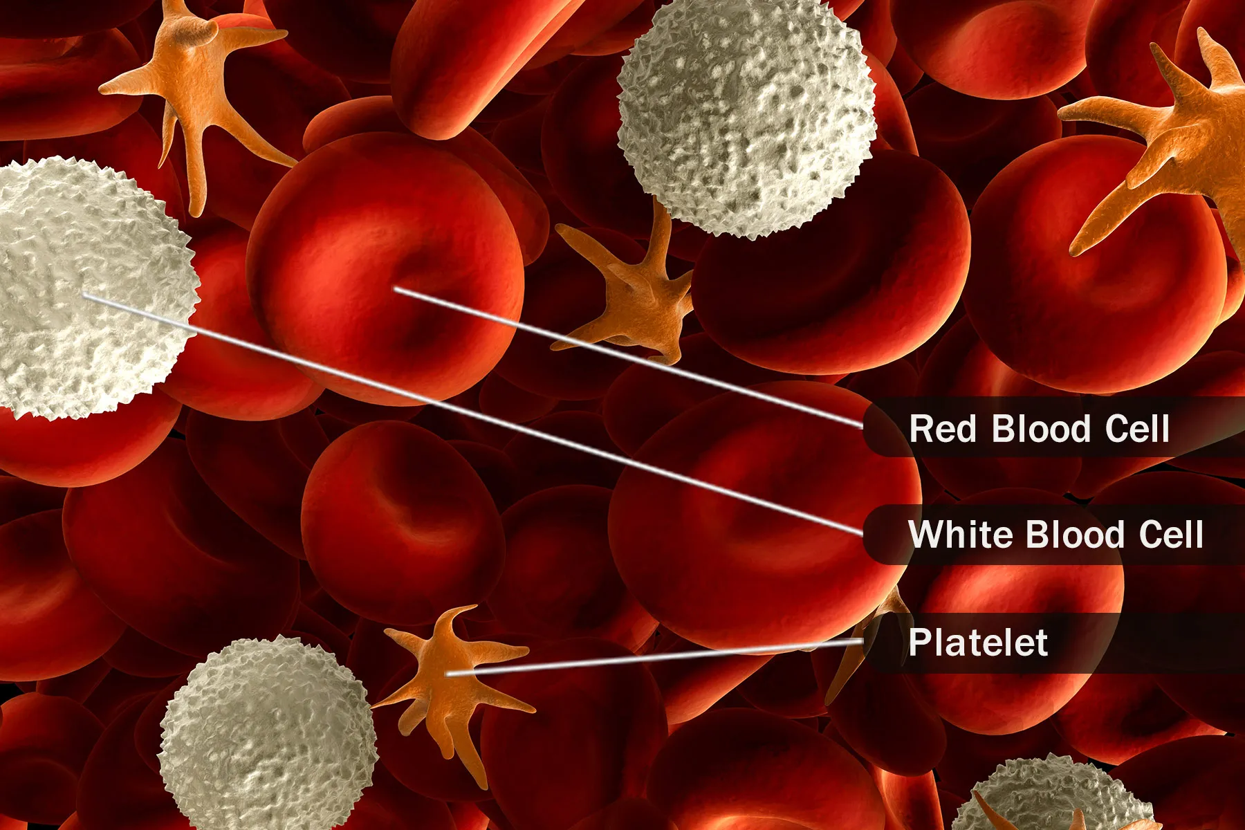 PLATELET COUNT